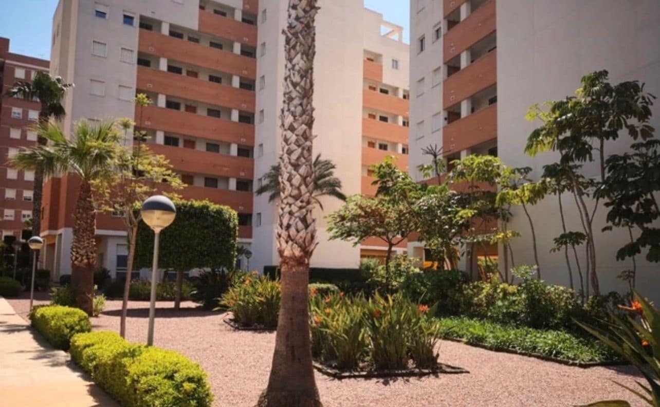 3 soveværelse Lejlighed til leje i Guardamar del Segura med swimmingpool - € 950 (Ref: 9177207)