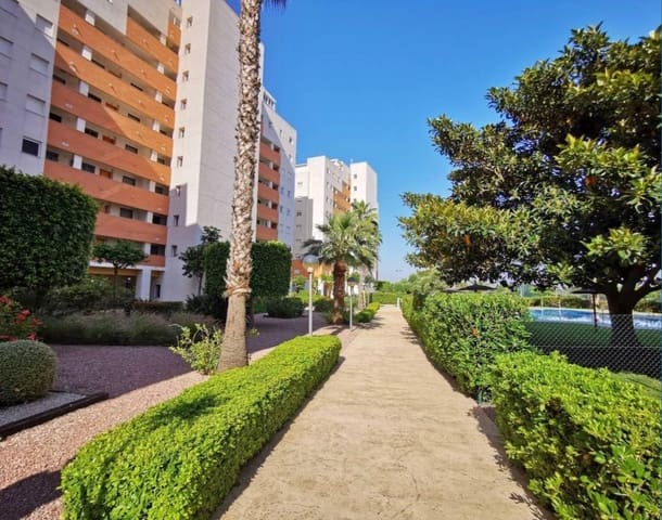 3 makuuhuone Huoneisto vuokrattavana paikassa Guardamar Playa, Guardamar del Segura mukana uima-altaan - 950 € (Ref: 9177207)