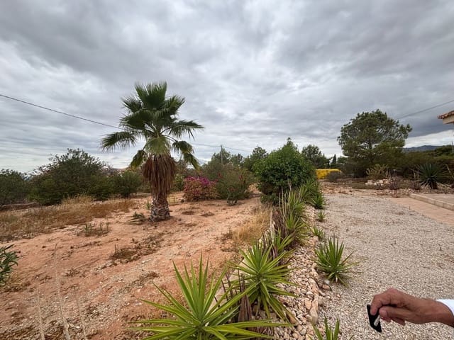 Finca/Maison de Campagne de 5 chambres à louer à Crevillente / Crevillent avec piscine garage - 1 700 € (Ref: 9204256)