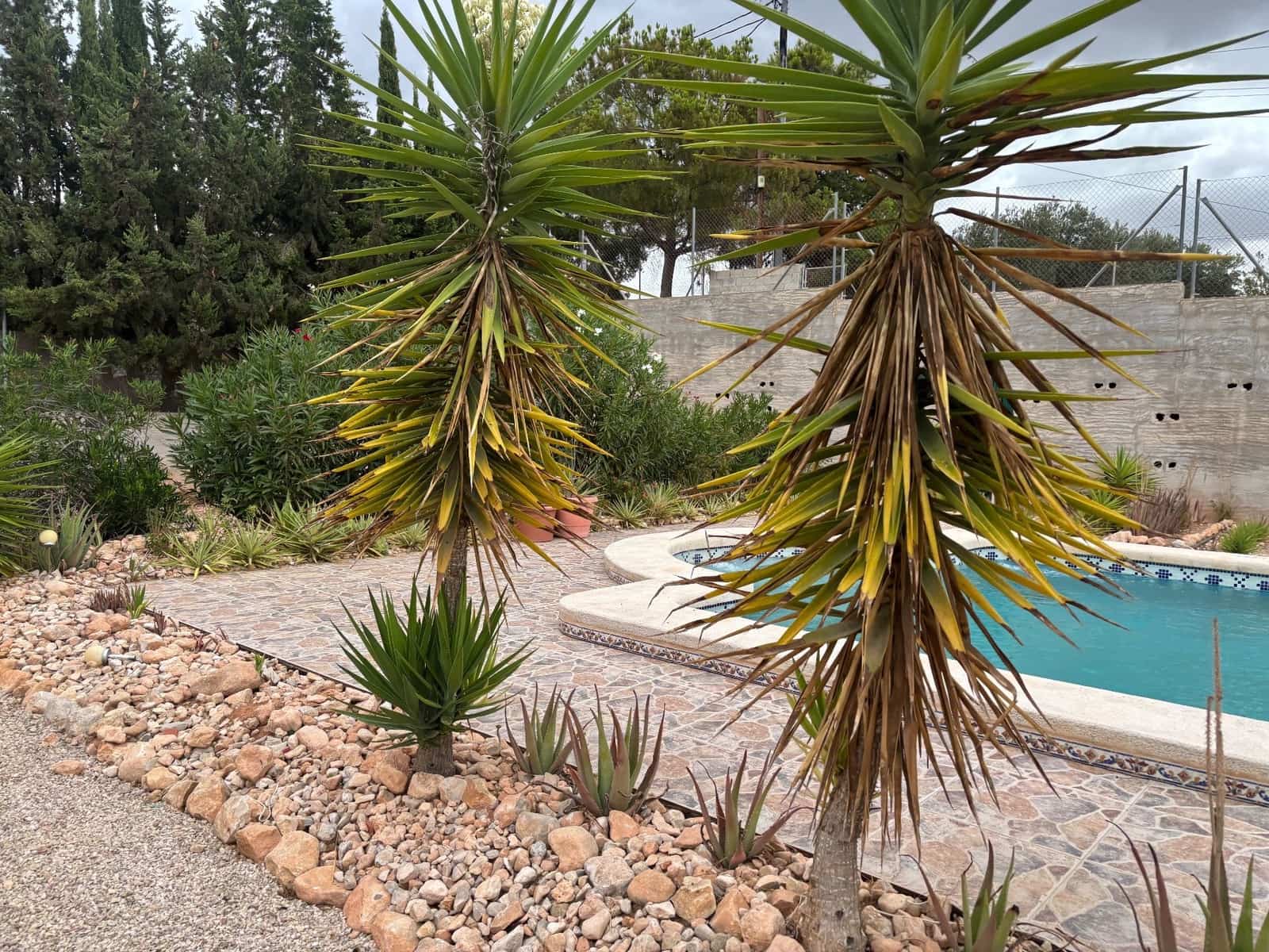 Finca/Maison de Campagne de 5 chambres à louer à Crevillente / Crevillent avec piscine garage - 1 700 € (Ref: 9204256)