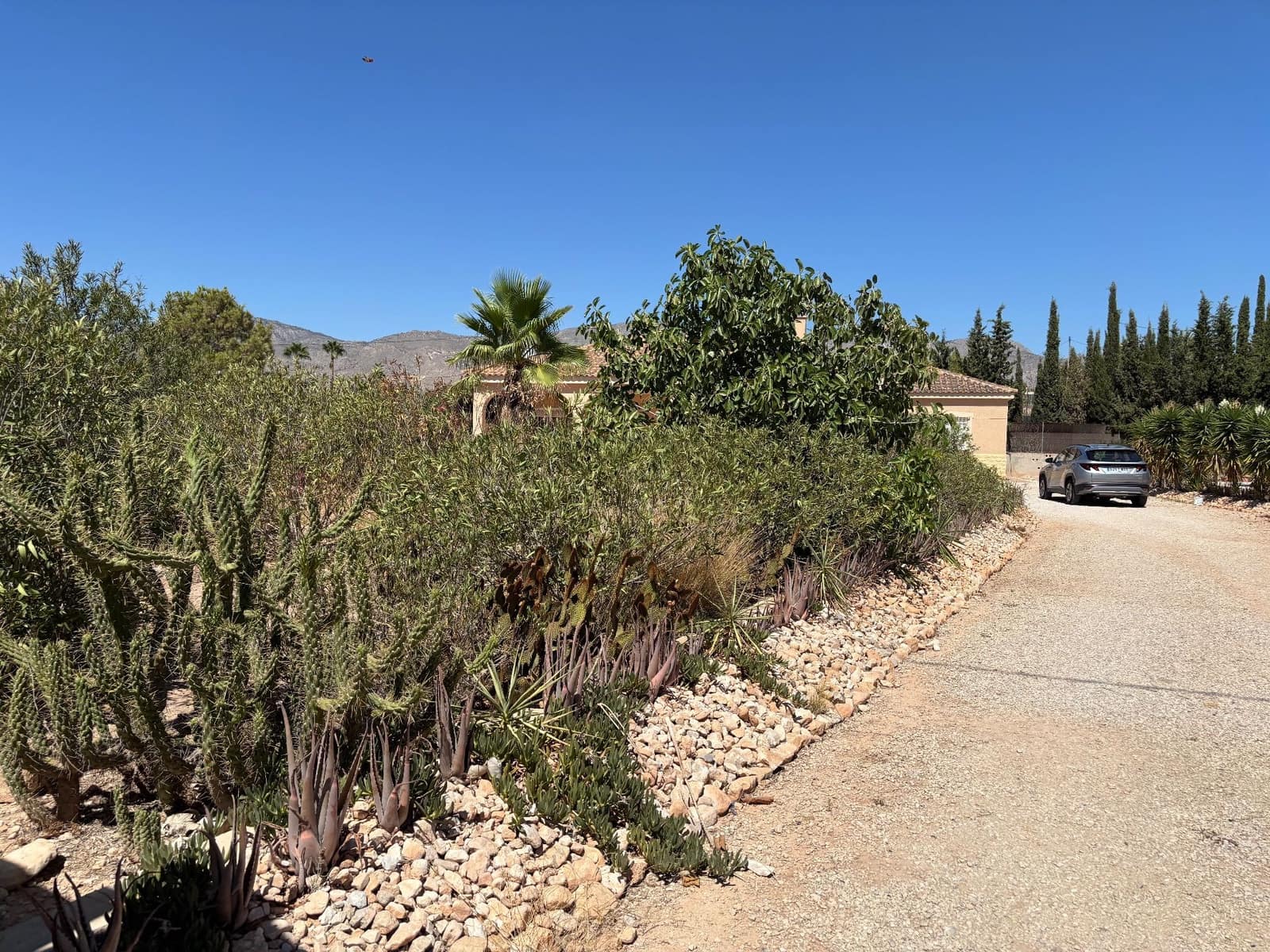 Finca/Maison de Campagne de 5 chambres à louer à Crevillente / Crevillent avec piscine garage - 1 700 € (Ref: 9204256)