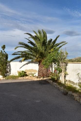2 Zimmer Finca/Landgut zu vermieten in Muchamiel / Mutxamel mit Pool Garage - 1.700 € (Ref: 9247951)