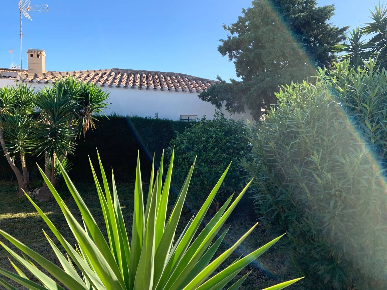 3 soveværelse Villa til leje i Campoamor med swimmingpool garage - € 700 (Ref: 9247952)