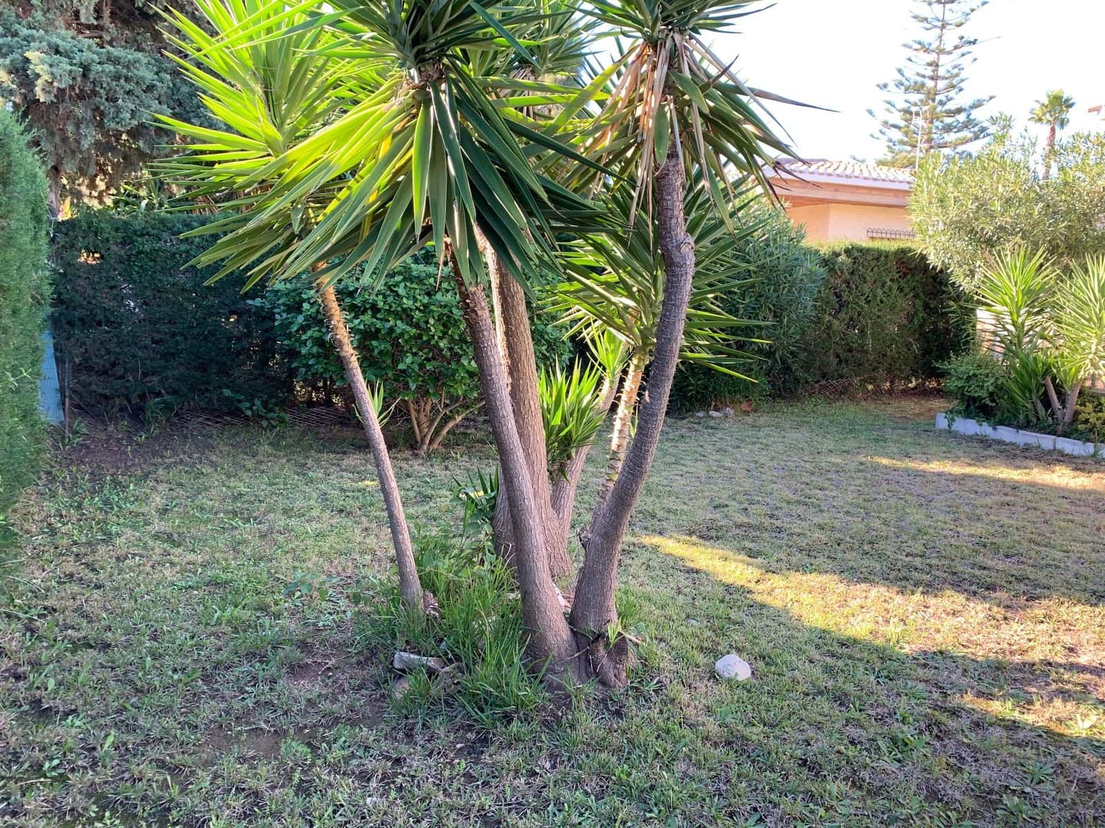 3 soveværelse Villa til leje i Campoamor med swimmingpool garage - € 700 (Ref: 9247952)