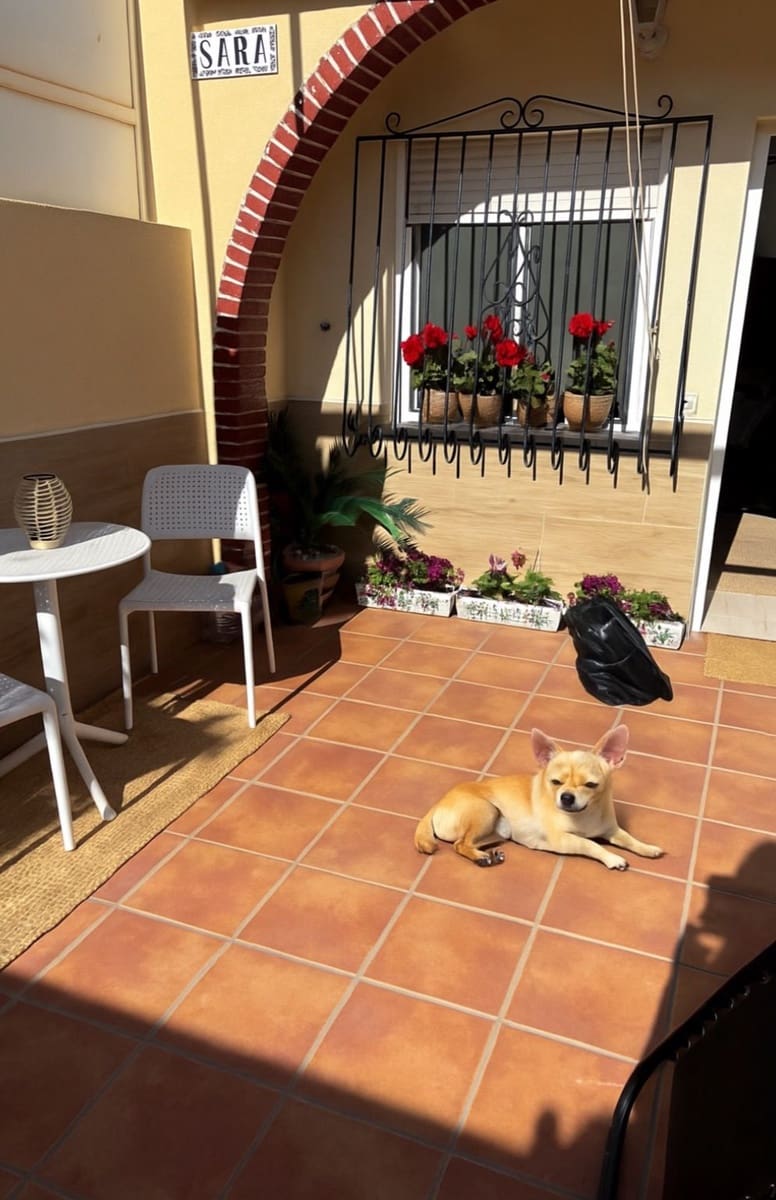 1 bedroom Bungalow for sale in Torrevieja - € 126,000 (Ref: 9248557)