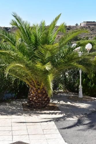 2 camera da letto Finca/Casa di Campagna da affittare in Muchamiel / Mutxamel con piscina garage - 2.000 € (Rif: 9390203)