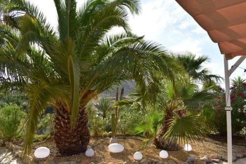 2 camera da letto Finca/Casa di Campagna da affittare in Muchamiel / Mutxamel con piscina garage - 2.000 € (Rif: 9390203)