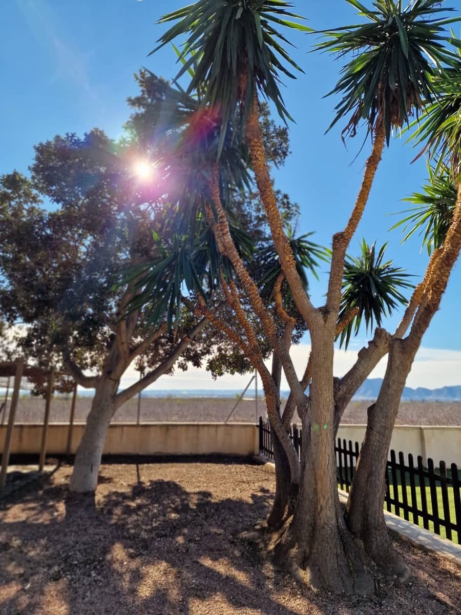 Finca/Casa Rural de 4 habitaciones en Albatera en alquiler con piscina garaje - 1.300 € (Ref: 9496889)