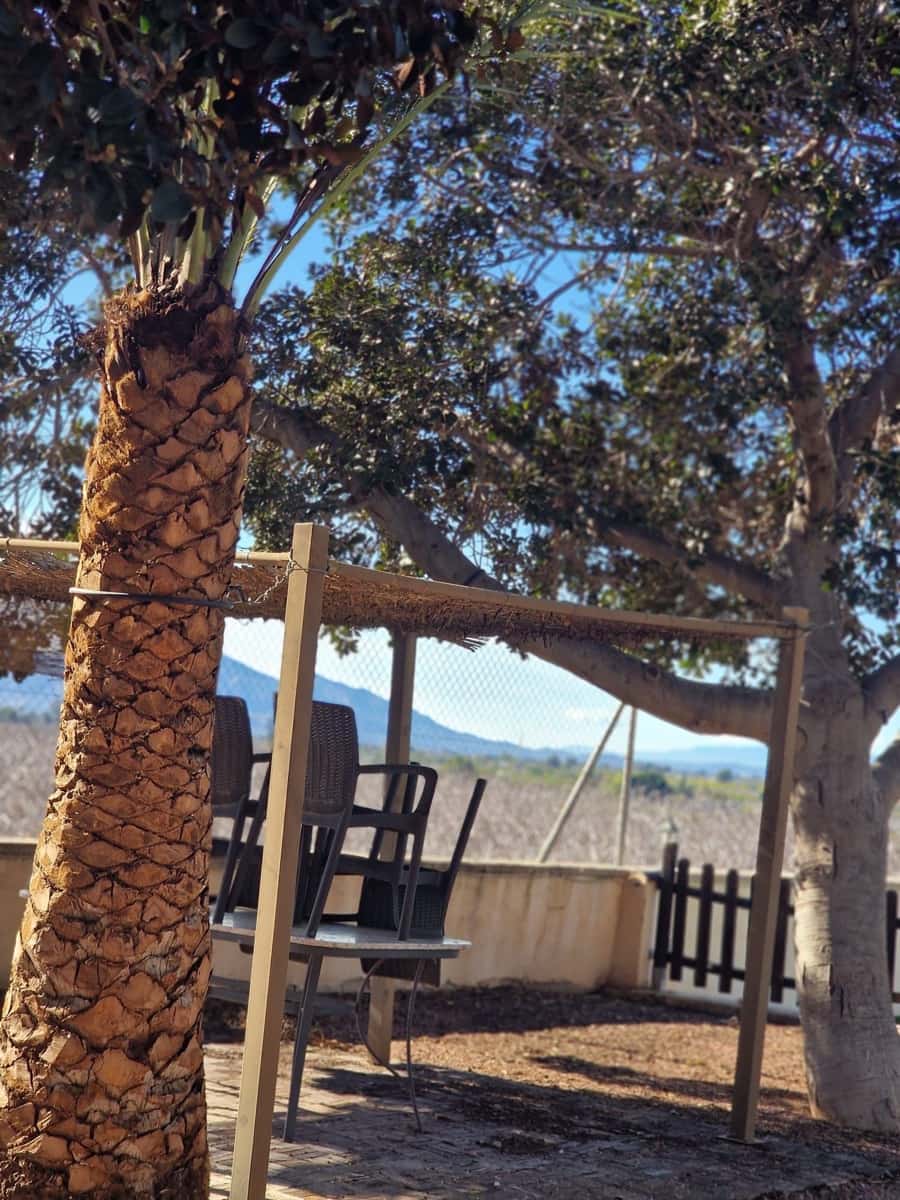 Finca/Casa Rural de 4 habitaciones en Albatera en alquiler con piscina garaje - 1.300 € (Ref: 9496889)