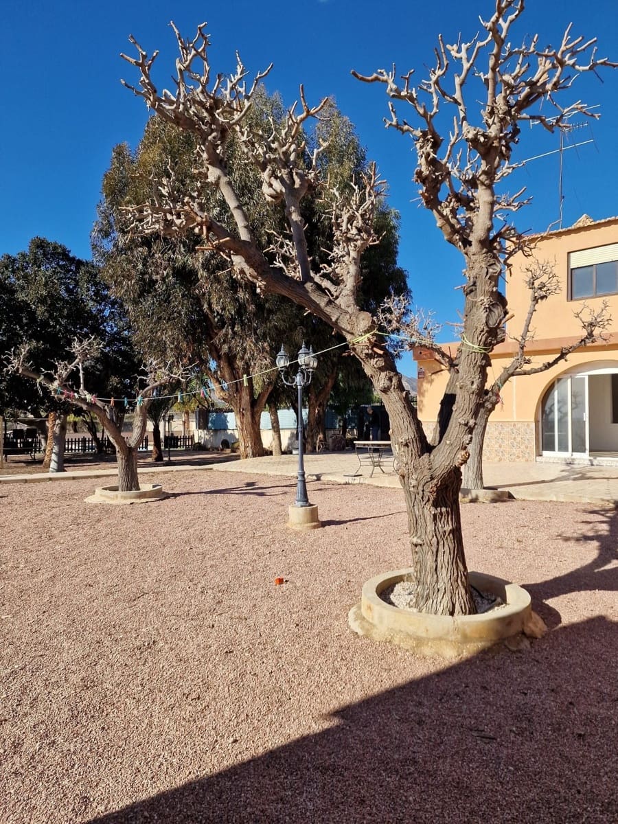 Finca/Casa Rural de 4 habitaciones en Albatera en alquiler con piscina garaje - 1.300 € (Ref: 9496889)