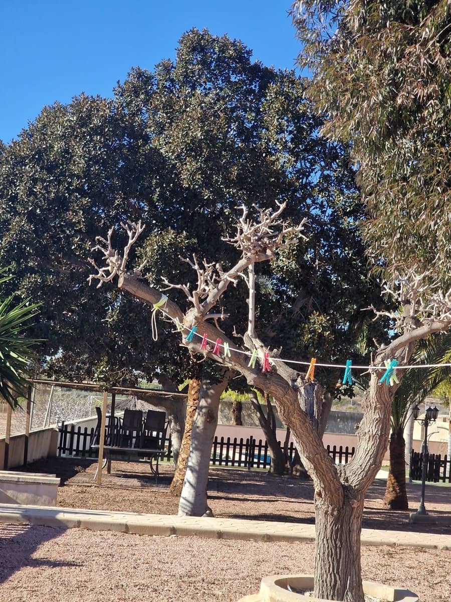 Finca/Casa Rural de 4 habitaciones en Albatera en alquiler con piscina garaje - 1.300 € (Ref: 9496889)