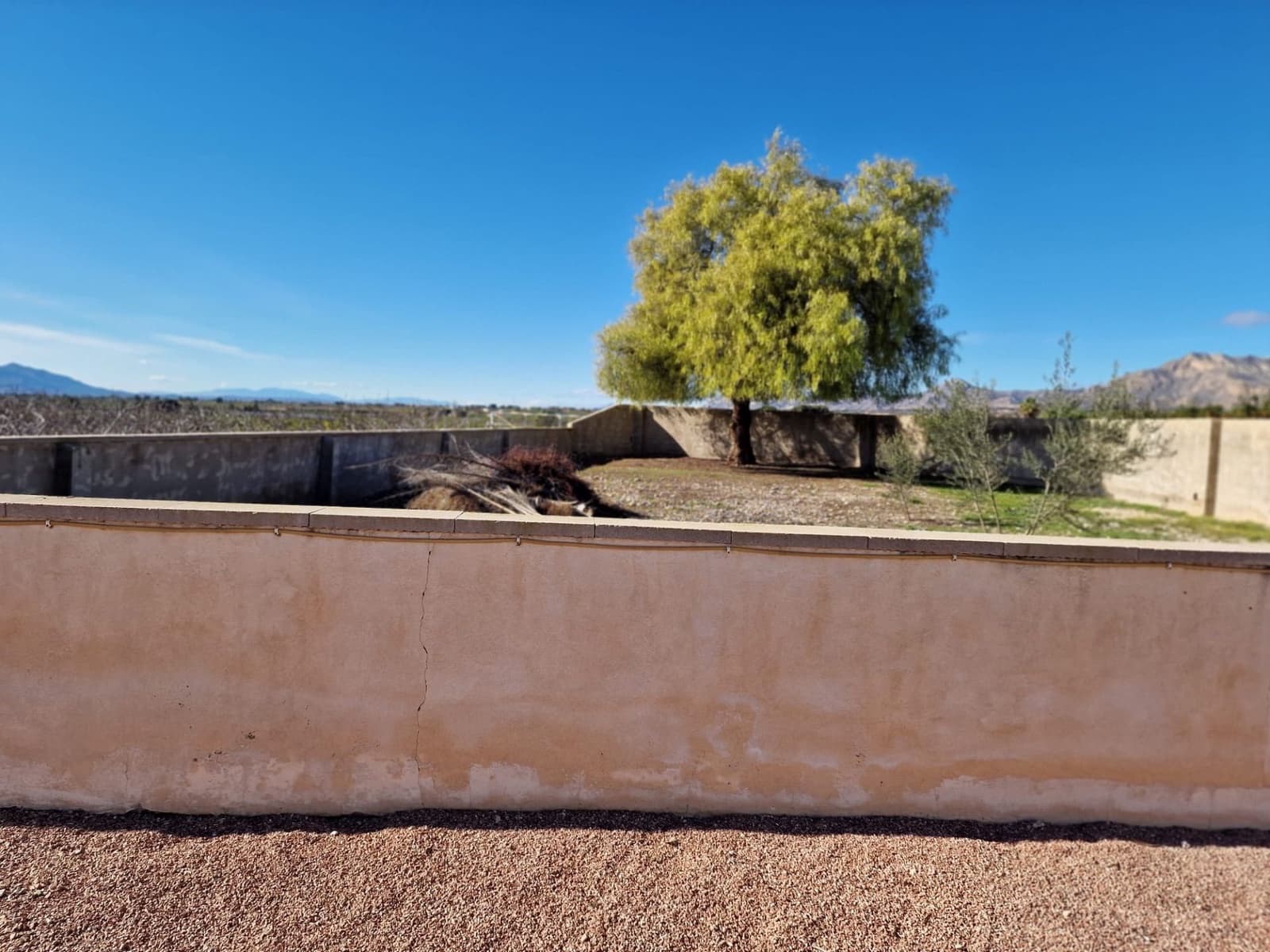 Finca/Casa Rural de 4 habitaciones en Albatera en alquiler con piscina garaje - 1.300 € (Ref: 9496889)