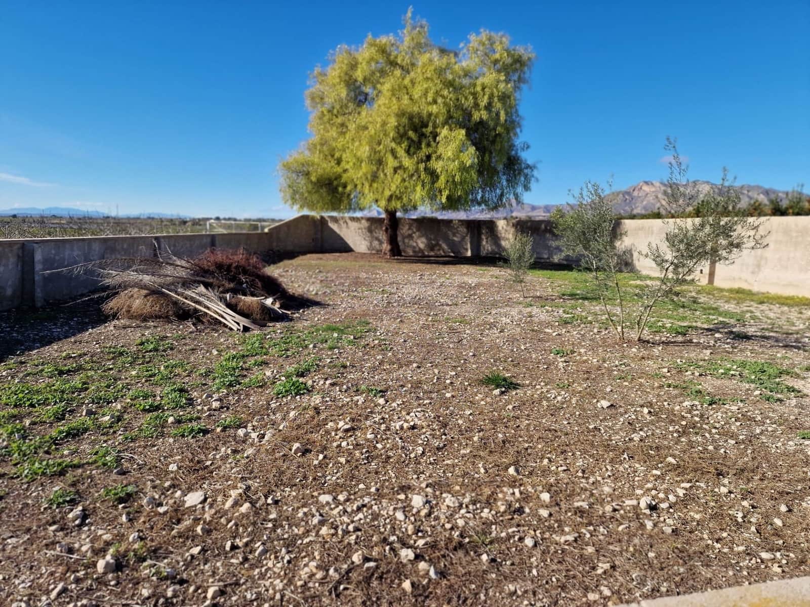 Finca/Casa Rural de 4 habitaciones en Albatera en alquiler con piscina garaje - 1.300 € (Ref: 9496889)