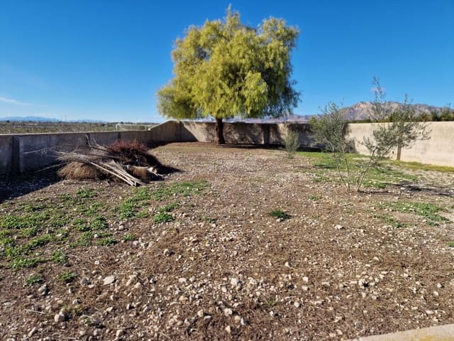 Finca/Casa Rural de 4 habitaciones en Albatera en alquiler con piscina garaje - 1.300 € (Ref: 9496889)