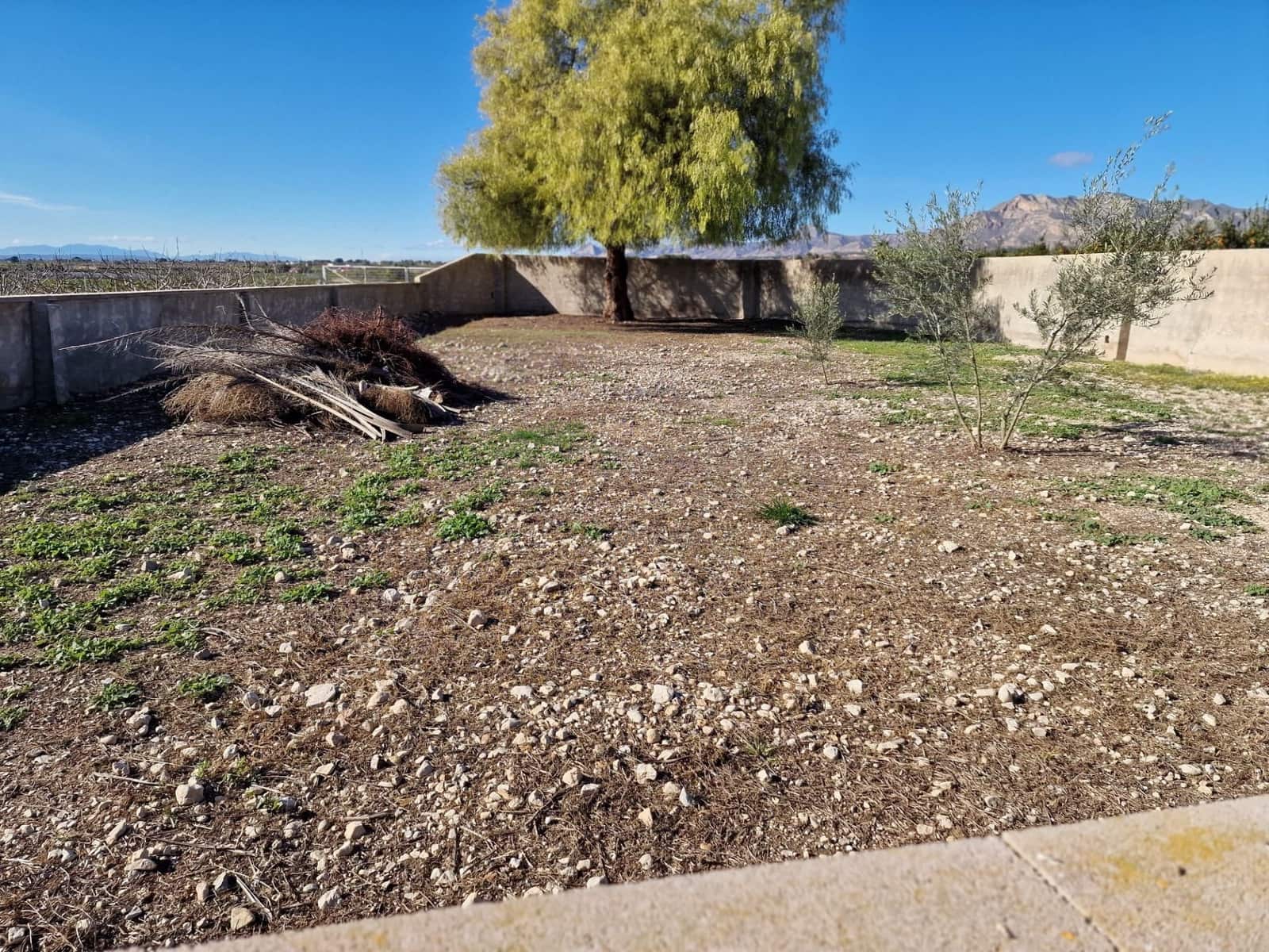 Finca/Casa Rural de 4 habitaciones en Albatera en alquiler con piscina garaje - 1.300 € (Ref: 9496889)