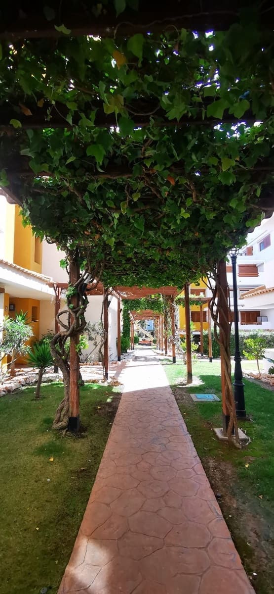 2 bedroom Apartment for rent in Orihuela Costa with pool garage - € 1,250 (Ref: 9663394)