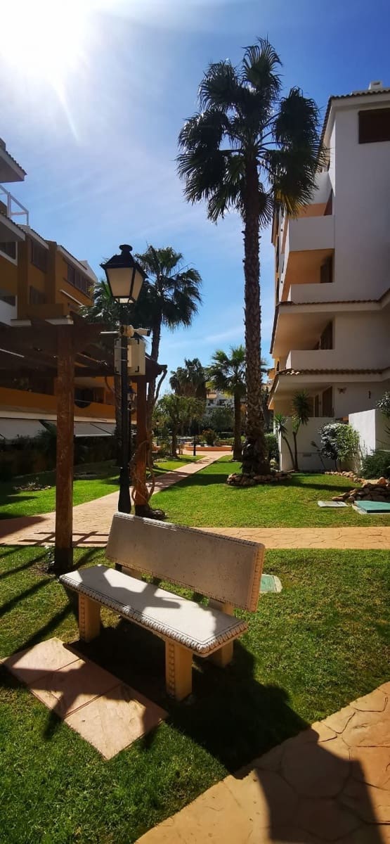 2 bedroom Apartment for rent in Orihuela Costa with pool garage - € 1,250 (Ref: 9663394)