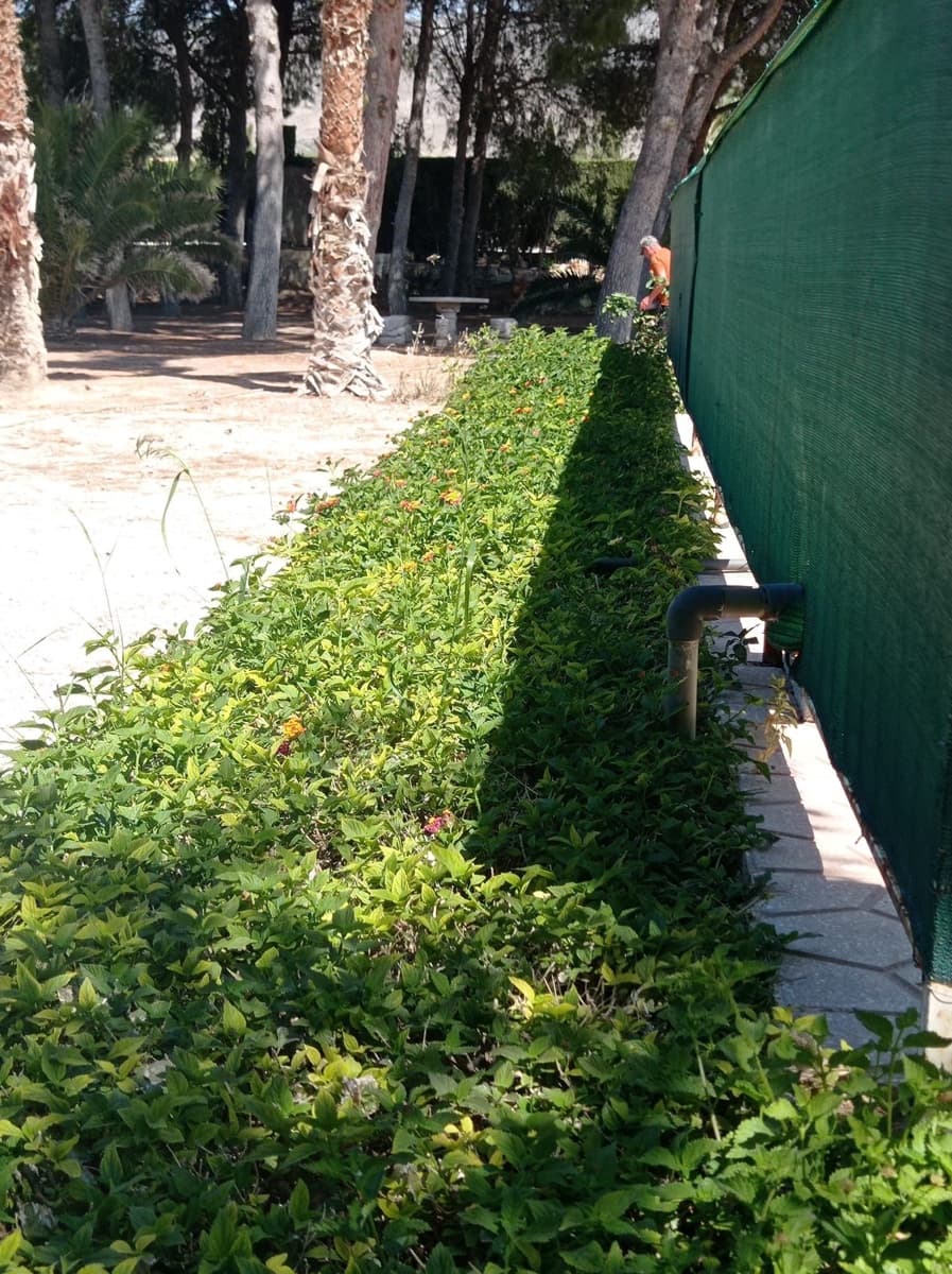 3 bedroom Villa for rent in Crevillente / Crevillent with garage - € 1,700 (Ref: 9698161)