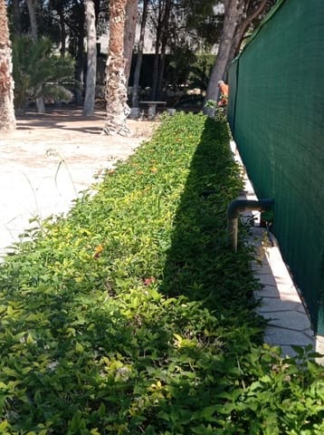 3 bedroom Villa for rent in Crevillente / Crevillent with garage - € 1,700 (Ref: 9698161)