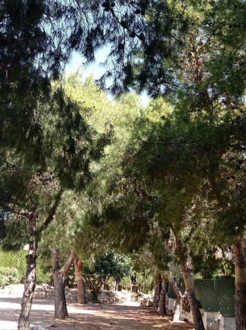 3 bedroom Villa for rent in Crevillente / Crevillent with garage - € 1,700 (Ref: 9698161)