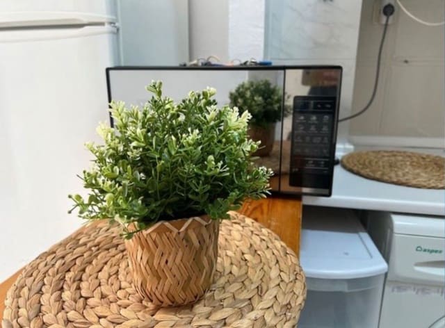 1 bedroom Apartment for rent in Playa de los Locos, Torrevieja - € 750 (Ref: 9700473)