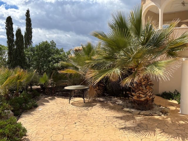 Villa/Maison de 5 chambres à louer à Muchamiel / Mutxamel avec piscine garage - 3 000 € (Ref: 9840083)