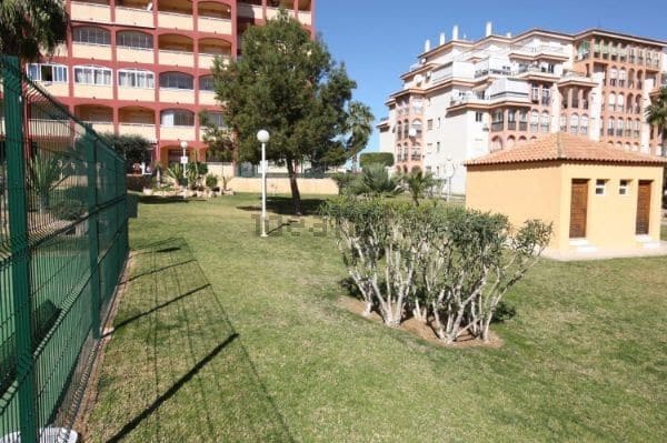 Appartement de 1 chambre à louer à La Mata avec piscine - 650 € (Ref: 9921702)