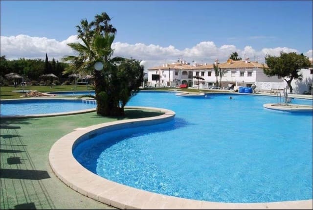 1 Zimmer Apartment zu vermieten in Los Balcones - Los Altos, Torrevieja mit Pool - 750 € (Ref: 9923241)