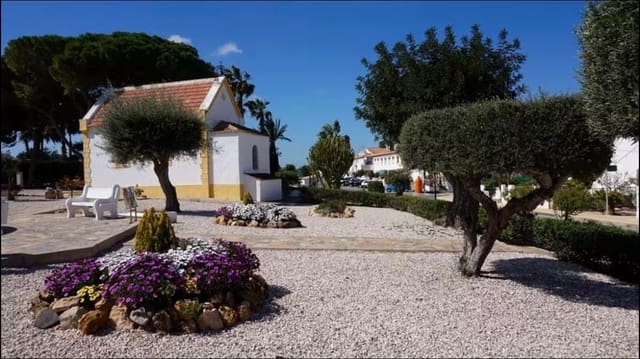 1 Zimmer Apartment zu vermieten in Los Balcones - Los Altos, Torrevieja mit Pool - 750 € (Ref: 9923241)