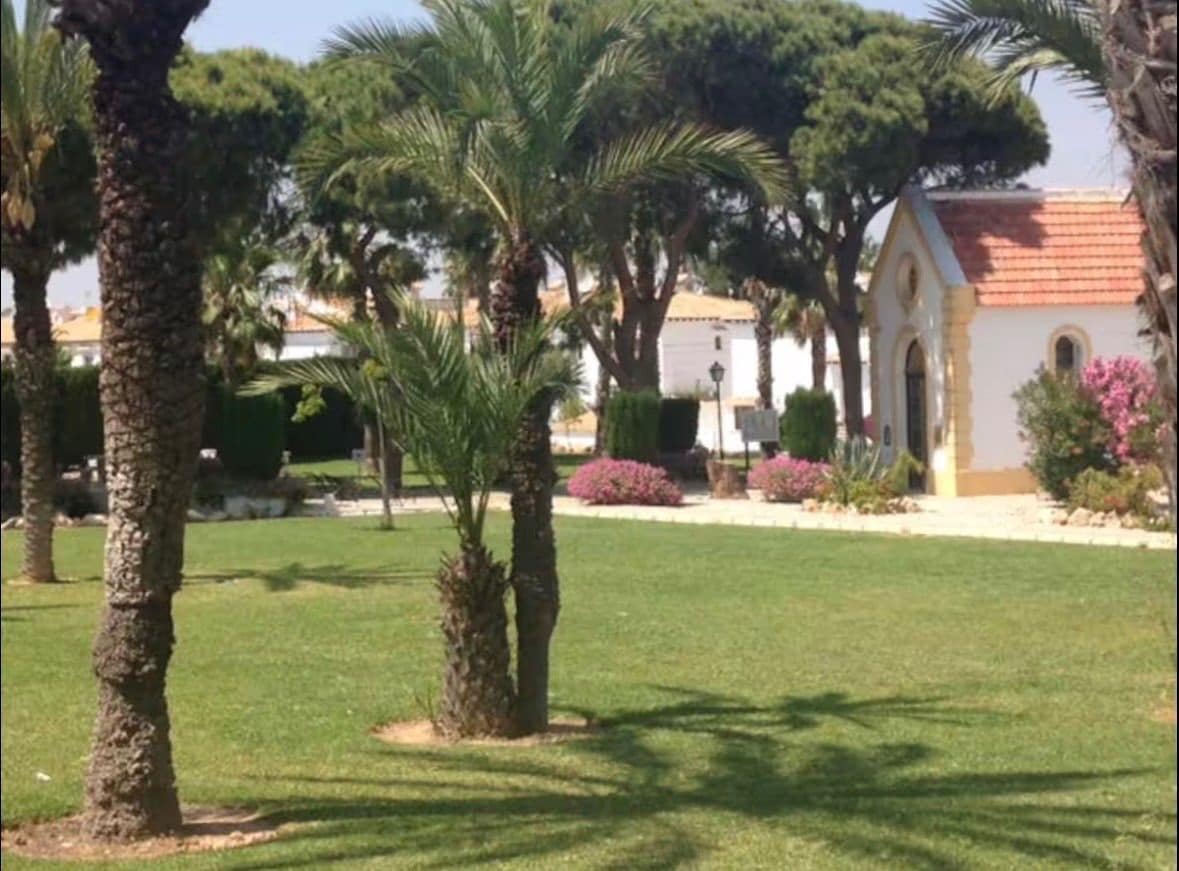 1 Zimmer Apartment zu vermieten in Torrevieja mit Pool - 750 € (Ref: 9923241)