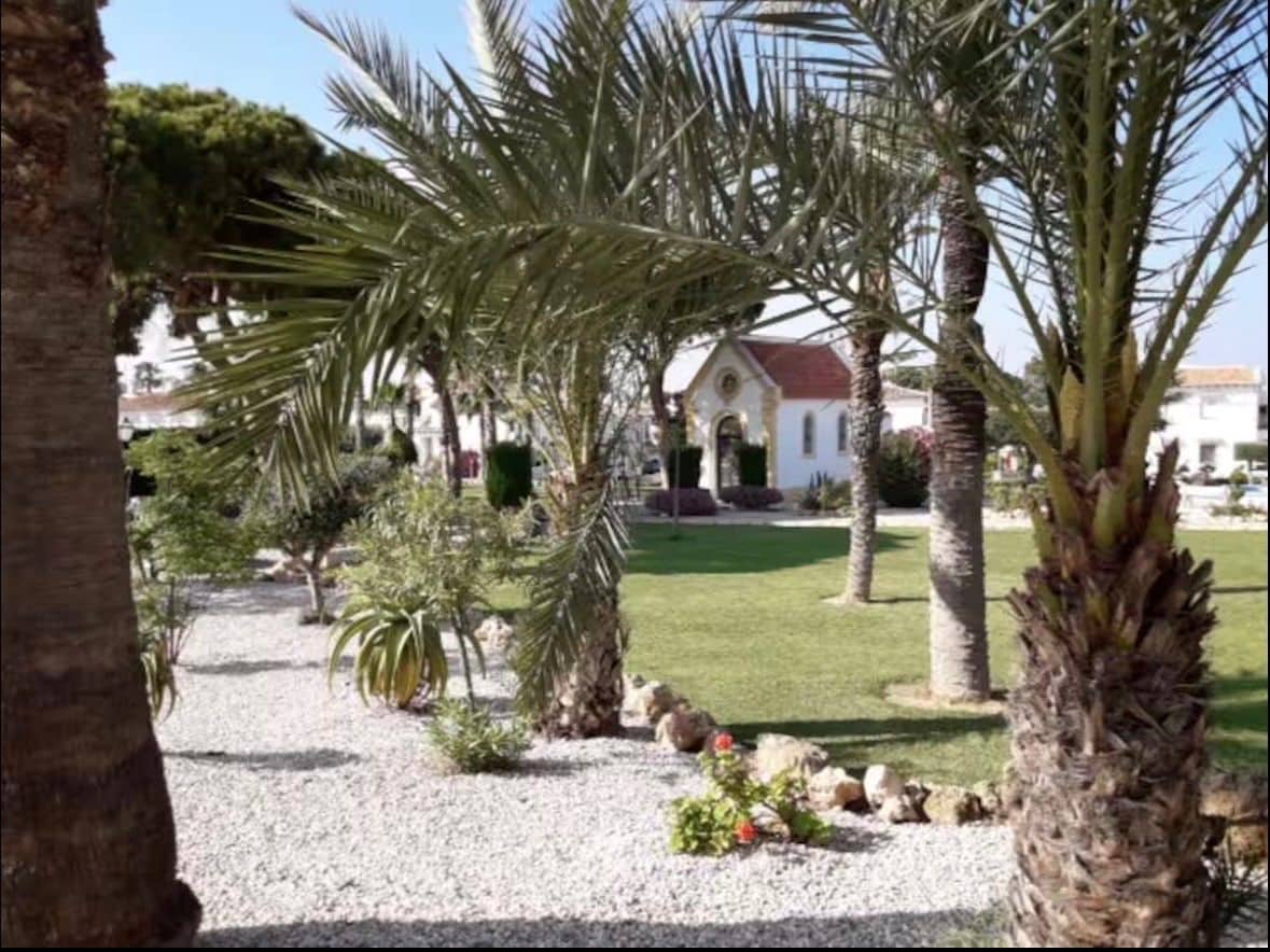 1 Zimmer Apartment zu vermieten in Torrevieja mit Pool - 750 € (Ref: 9923241)