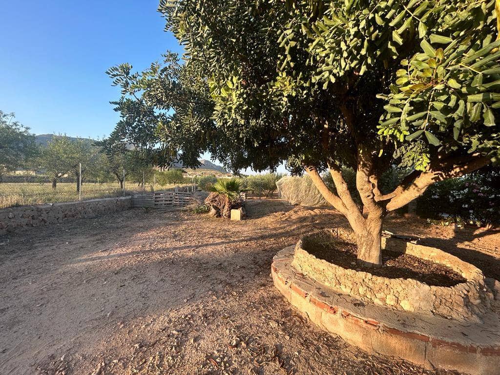 4 quarto Quinta/Casa Rural para venda em Hondon de las Nieves - 250 000 € (Ref: 10035841)
