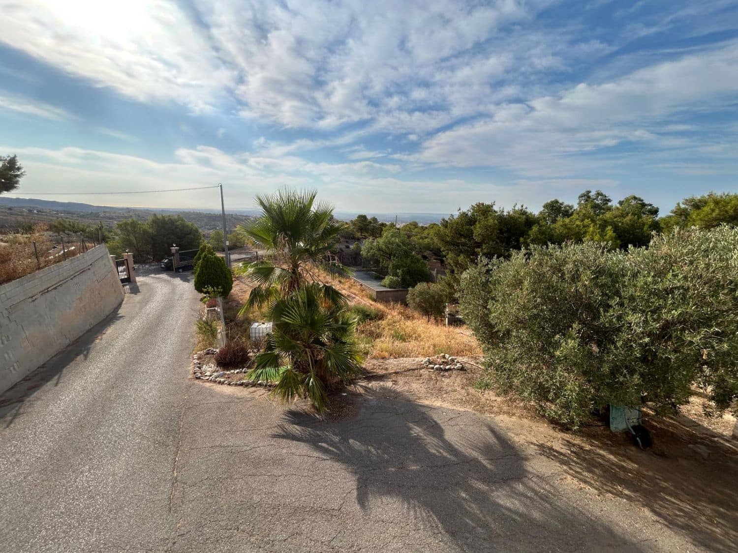 Finca/Casa Rural de 4 habitaciones en Crevillente / Crevillent en venta - 390.000 € (Ref: 10035847)