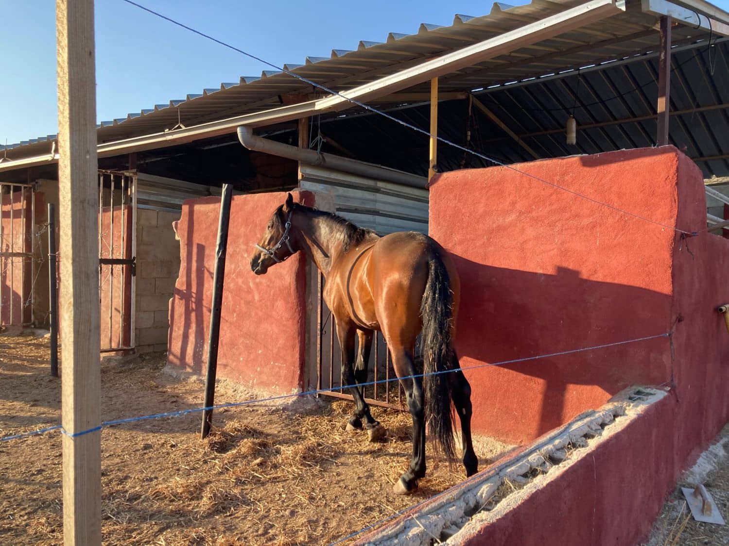 3 quarto Quinta/Casa Rural para venda em Barbarroja - 219 000 € (Ref: 10035848)