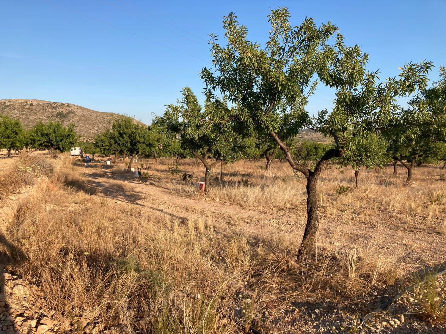 3 quarto Quinta/Casa Rural para venda em Barbarroja - 219 000 € (Ref: 10035848)