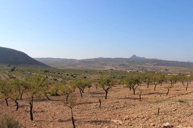 Finca/Country House for sale in Hondón de los Frailes - € 67,520 (Ref: 10035856)
