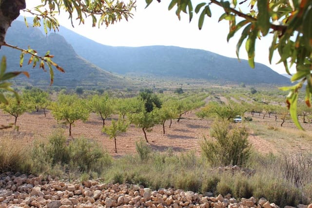 Finca/Country House for sale in Hondón de los Frailes - € 67,520 (Ref: 10035856)