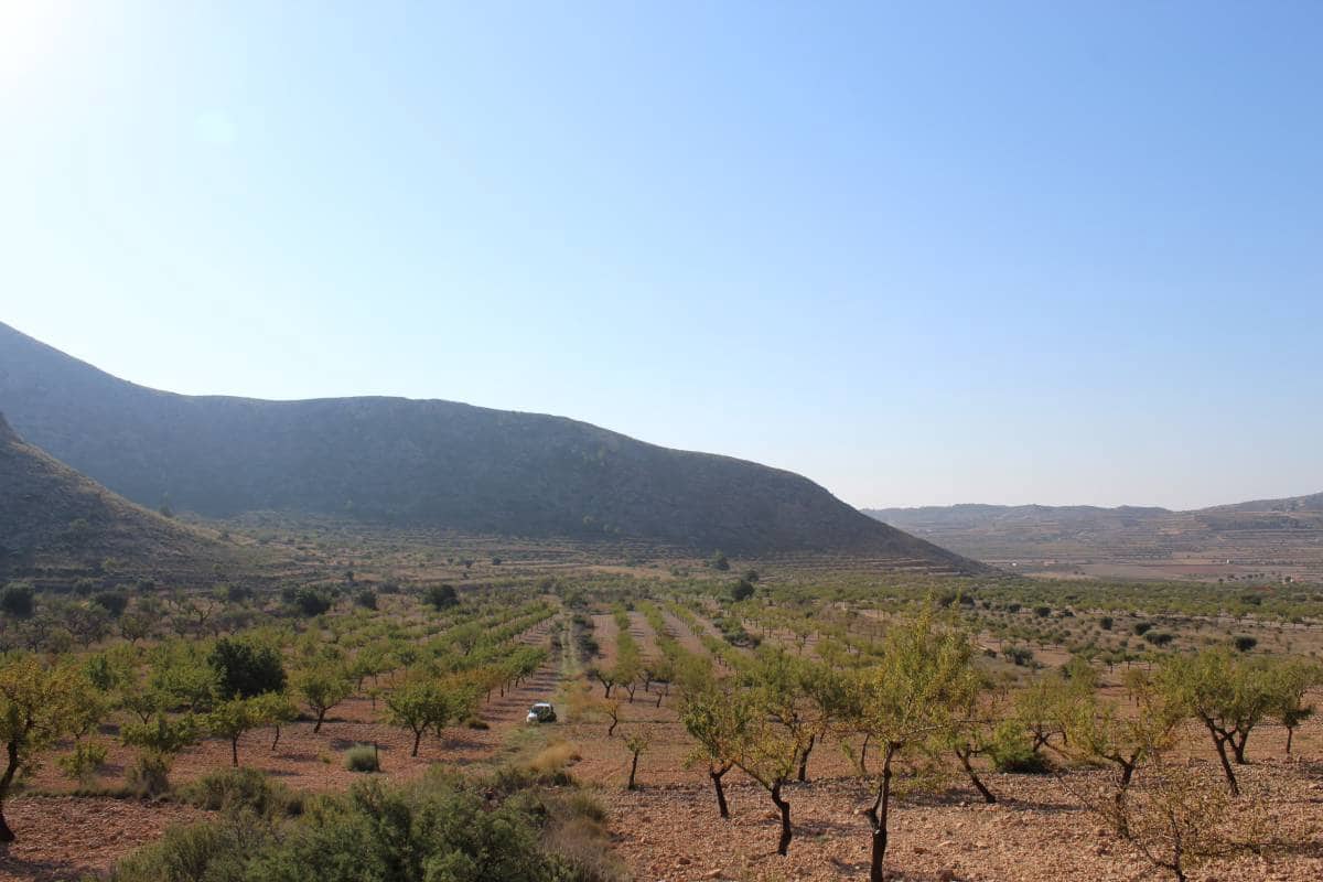 Quinta/Casa Rural para venda em Hondon de los Frailes - 67 520 € (Ref: 10035856)
