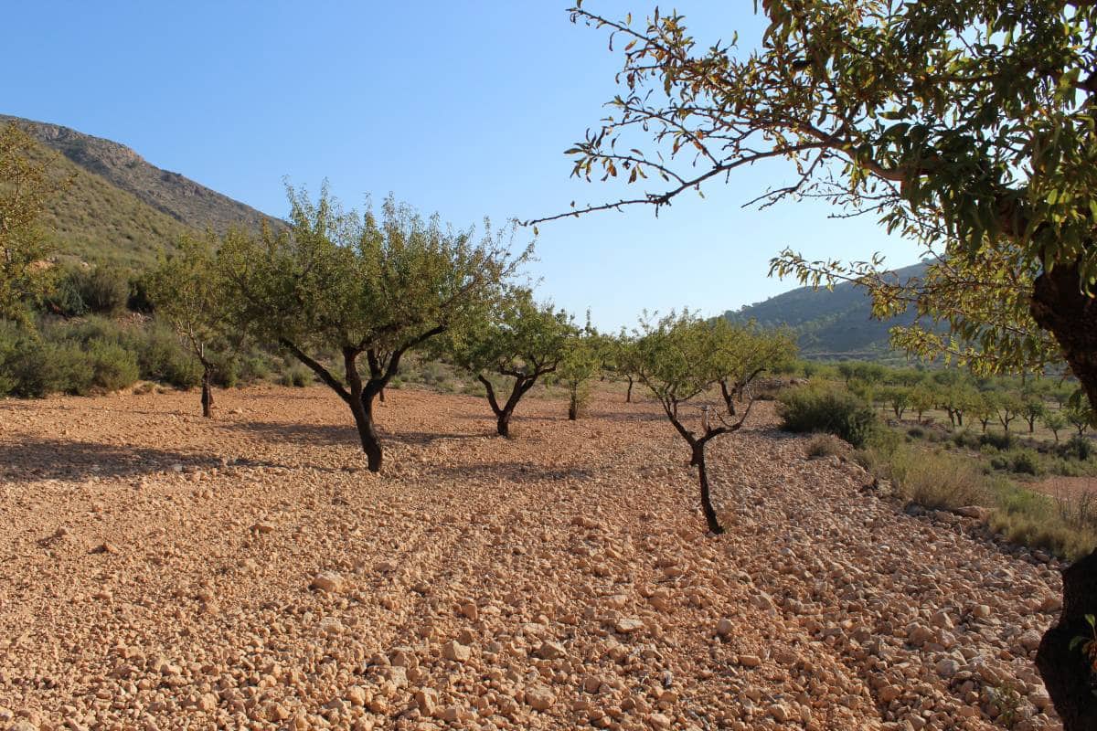 Quinta/Casa Rural para venda em Hondon de los Frailes - 67 520 € (Ref: 10035856)