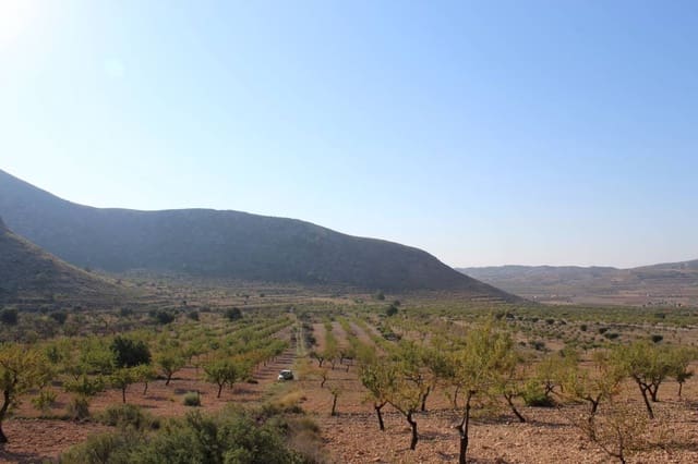 Finca/Country House for sale in Hondón de los Frailes - € 67,520 (Ref: 10035856)