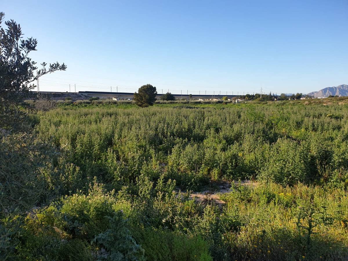 Quinta/Casa Rural para venda em Crevillente / Crevillent - 79 500 € (Ref: 10035859)