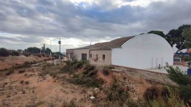 Business for sale in Crevillente / Crevillent - € 390,000 (Ref: 10035866)
