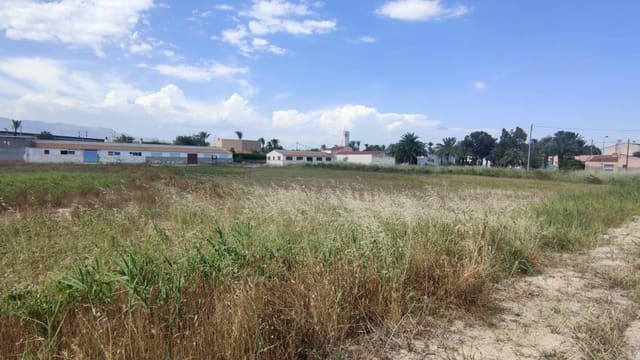 Undeveloped Land for rent in El Realengo, Crevillente / Crevillent - € 500 (Ref: 10035868)