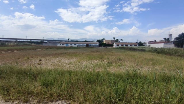 Undeveloped Land for rent in El Realengo, Crevillente / Crevillent - € 500 (Ref: 10035868)