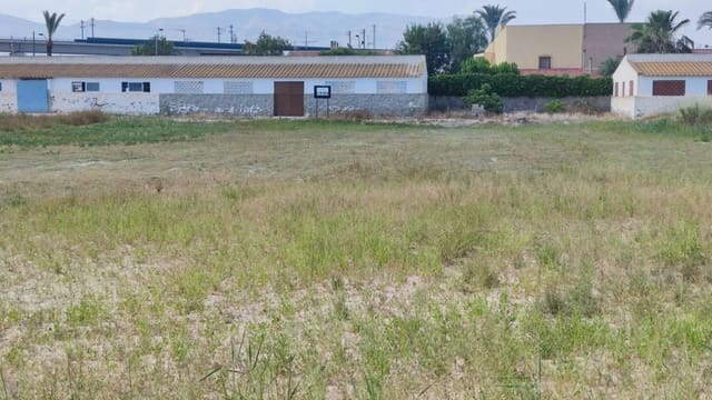 Undeveloped Land for rent in El Realengo, Crevillente / Crevillent - € 500 (Ref: 10035868)