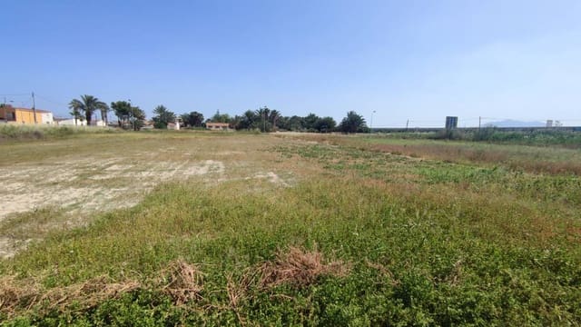 Undeveloped Land for rent in El Realengo, Crevillente / Crevillent - € 500 (Ref: 10035868)