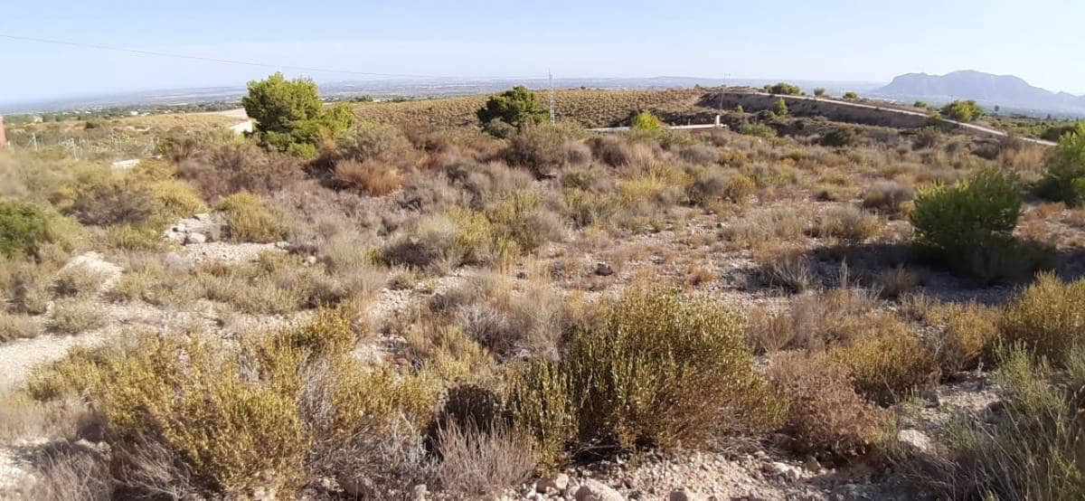 Quinta/Casa Rural para venda em Crevillente / Crevillent - 55 000 € (Ref: 10035871)
