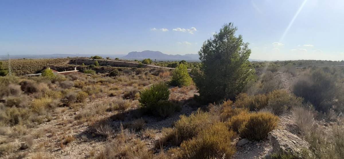 Quinta/Casa Rural para venda em Crevillente / Crevillent - 55 000 € (Ref: 10035871)
