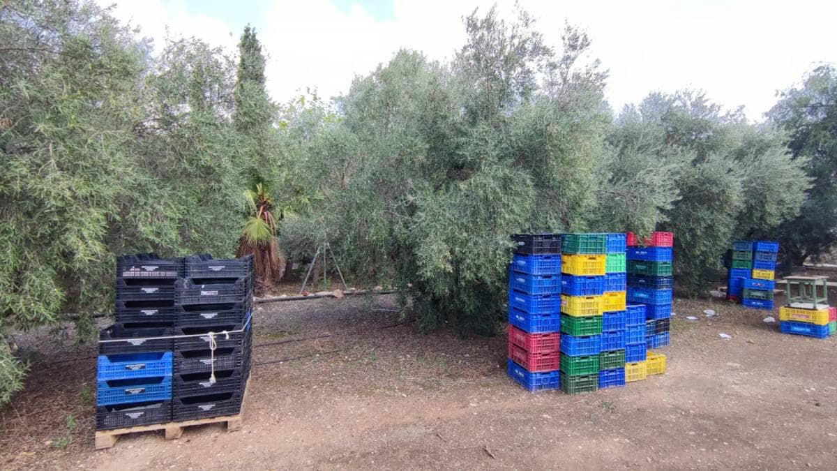 1 soveværelse Finca/Landehus til salg i Aspe - € 150.000 (Ref: 10035872)
