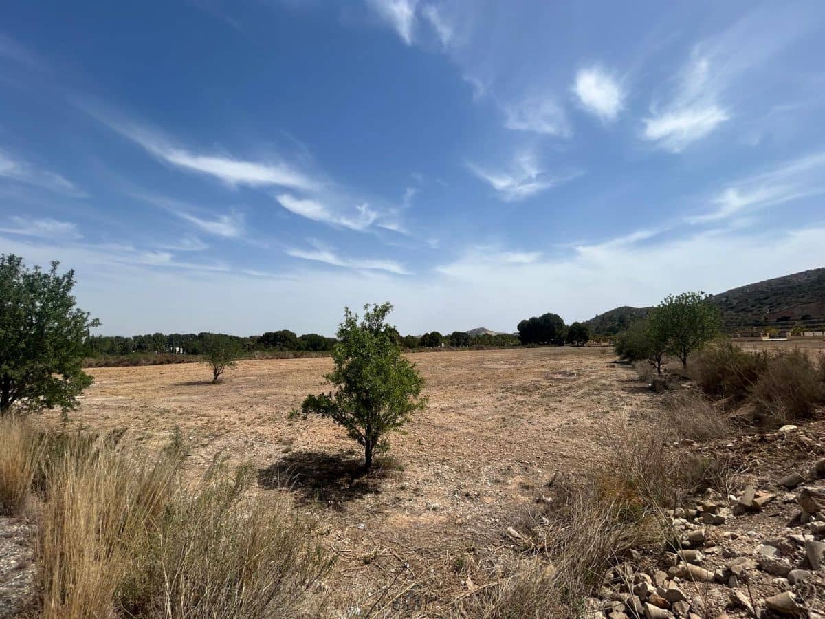 Finca/Herregård til salgs i Aspe - € 90 000 (Ref: 10035889)